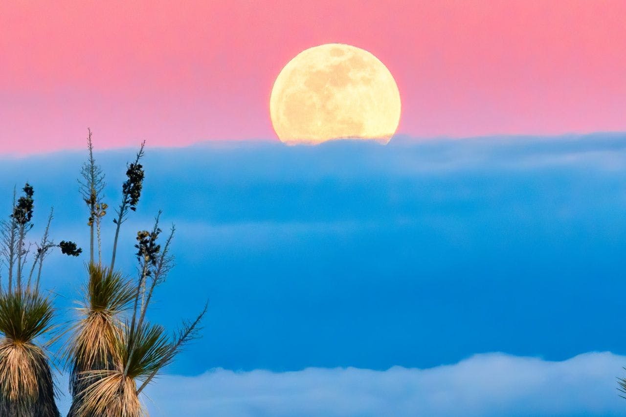 Sky-moon-nature